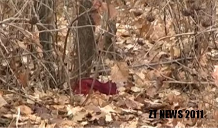 Народила і вбила