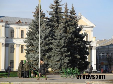 Встановлення ялинки в Житомирі