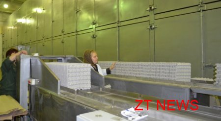 Житомирський картонний комбінат запустив лінію з виробництва лотків для яєць