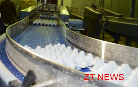 Житомирський картонний комбінат запустив лінію з виробництва лотків для яєць