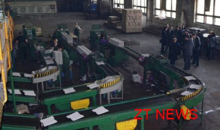Житомирський картонний комбінат запустив лінію з виробництва лотків для яєць