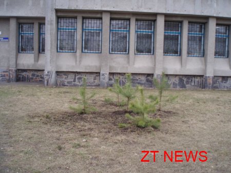 Сьогодні в Житомирі проходить загальноміський суботник