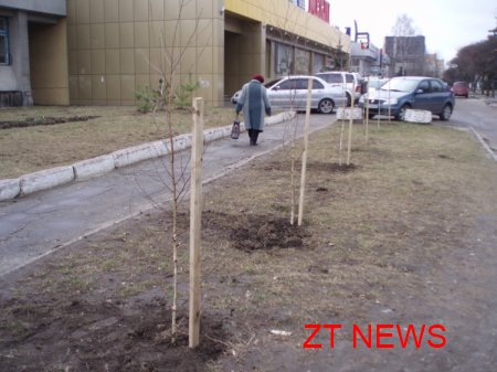Сьогодні в Житомирі проходить загальноміський суботник