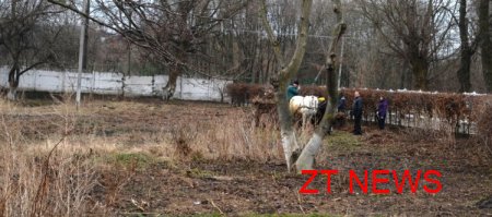 Ніхто з депутатів, які буцімто намагаються відродити парк у фруктовому саду, не прийшов, щоб його прибрати