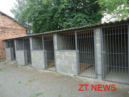 У Житомирі буде притулок для бездомних тварин