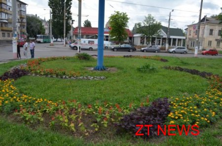 В Житомирі триває конкурс «Моє квітуче місто»