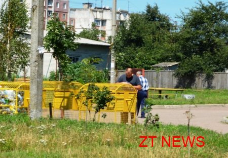 Житомиряни підтримують роздільний спосіб збору сміття