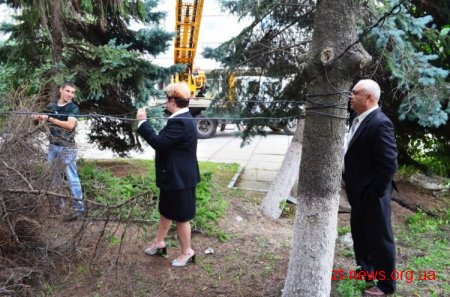 «Зеленбуд» врятував 2 ялини біля готелю «Житомир»