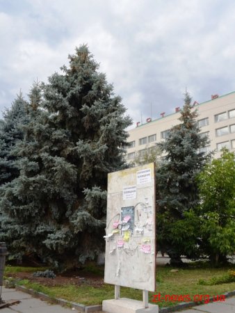 «Зеленбуд» врятував 2 ялини біля готелю «Житомир»