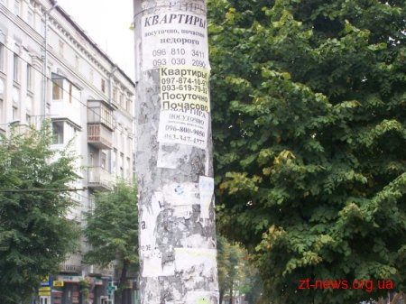 В Житомирі інспекторами благоустрою встановлено місця систематичного недотримання правил благоустрою