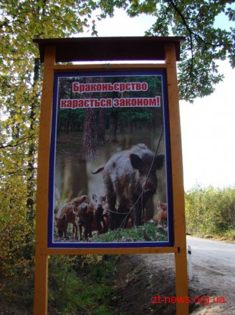 У житомирській області у лісгоспі почали розводити диких кабанів