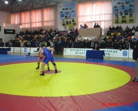 Досягнення спортсменів області у вільній боротьбі Досягнення спортсменів області у вільній боротьбі