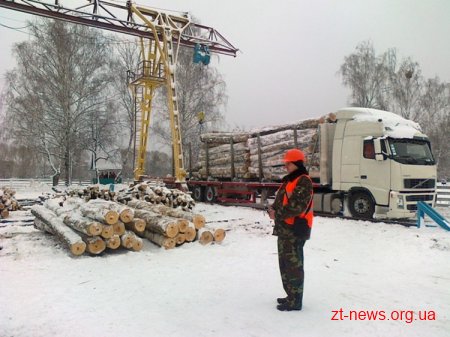 До лісу – як у супермаркет