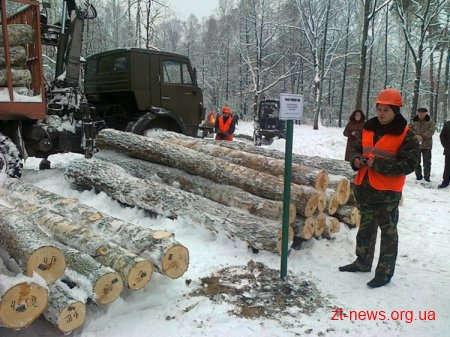 До лісу – як у супермаркет