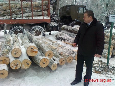 До лісу – як у супермаркет