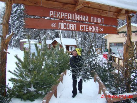 Зрубана чи в горщику, куплена або ж орендована – цього року є з чого вибирати новорічну ялинку