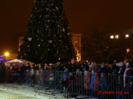 У Житомирі урочисто запалили головну ялинку області