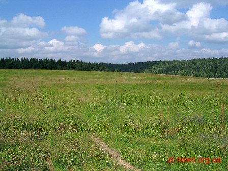 Швидше, простіше і дешевше стало реєструвати земельні ділянки