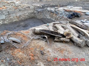 У Житомирі вирішували подальшу долю розкопок на Замковій горі У Житомирі вирішували подальшу долю розкопок на Замковій горі