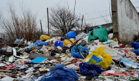 Міський голова не задоволений санітарним станом Житомира