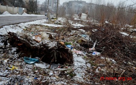Міський голова не задоволений санітарним станом Житомира