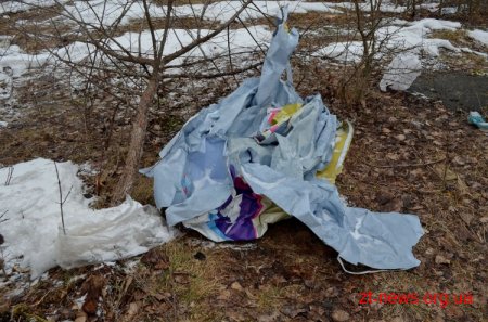 Міський голова не задоволений санітарним станом Житомира