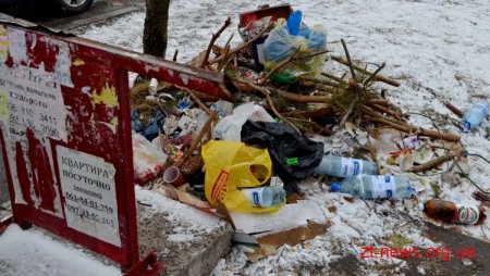 Міський голова не задоволений санітарним станом Житомира
