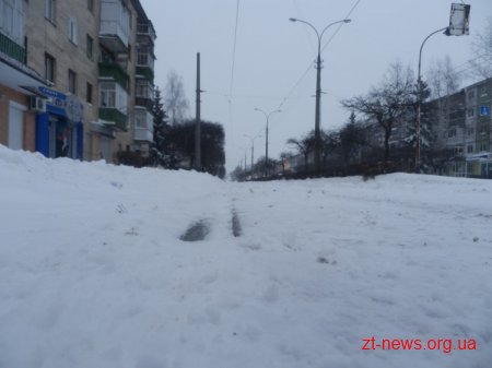 Негода у Житомирі день другий