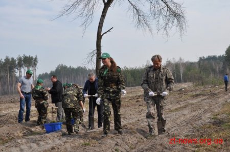 У лісгоспі Радомишльського району відбулась Всеукраїнська акція "Майбутнє лісу – в твоїх руках"