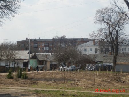 У Житомирі висаджено дерева у новому сквері по вулиці Старовільській