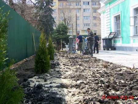 Поруч з міським будином урочистих подій висаджено калинову алею