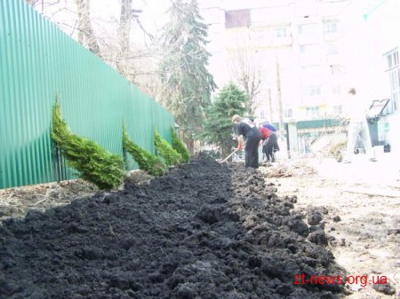 Поруч з міським будином урочистих подій висаджено калинову алею