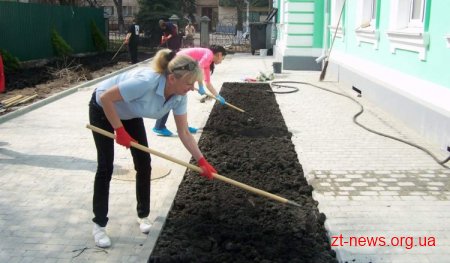 Поруч з міським будином урочистих подій висаджено калинову алею