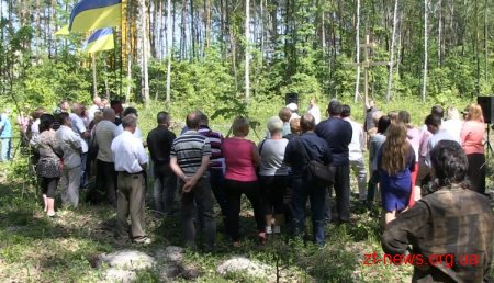 В Довжику відбулася акція протесту проти вандалізму влади