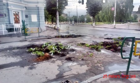 Хуліганам, які познущалися над квітковими вазами по Михайлівській, загрожує 5 років ув’язнення