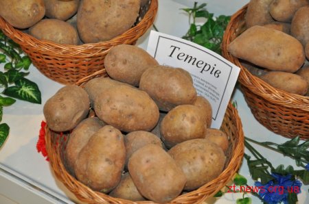 Йосип Запаловський: «Агро–2013 – доказ того, що Житомирщина потужний і перспективний сільськогосподарський край»
