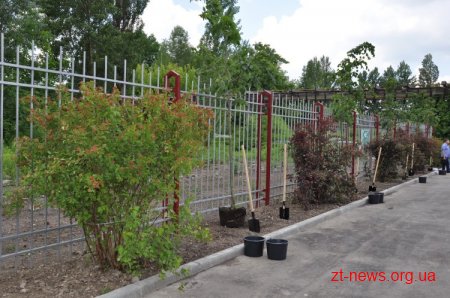 Компанія "Євроголд" у Житомирі сьогодні відзначає десятиріччя своєї роботи