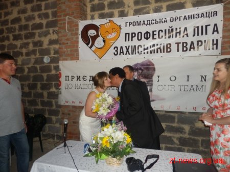 У Житомирі стерелізиватимуть собак ще два тижні