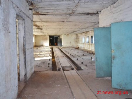 У Житомирі невдовзі з`явиться притулок для тварин