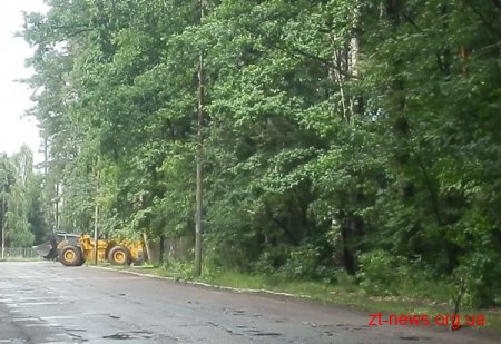 Автостоянку на людських кістках вже будують?