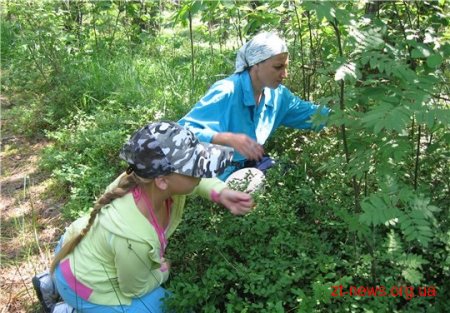 На Житомирщині СБУ затримала учасників угрупування, які вимагали майно у заготівельників Баранівського району