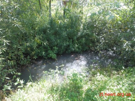 На околиці Житомира подвір`я приватних будинків підтоплює через зариту канаву