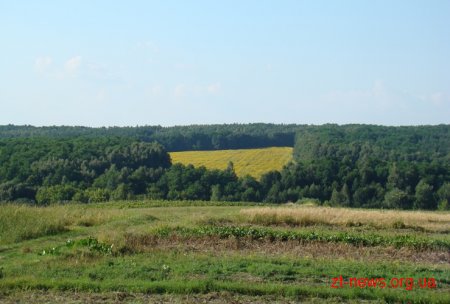 Вартові кряжу: на Овруччині є лісництво, яке пильнує Овруцько-Словечанський кряж