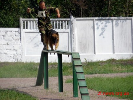 У Коростені відбулися всеукраїнські змагання кінологів