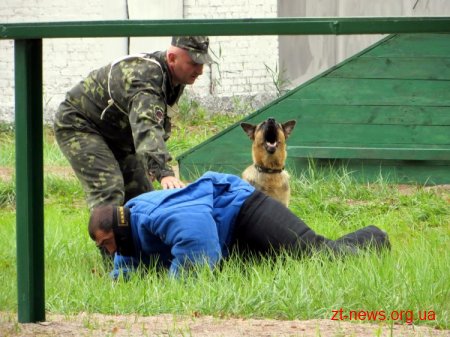 У Коростені відбулися всеукраїнські змагання кінологів