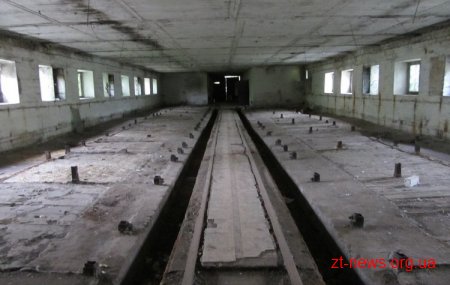 Майбутній притулок для тварин у Житомирі, а зараз залишки свинарнику