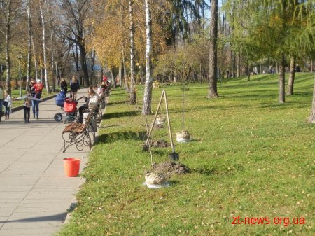 У Житомирі до 95-річчя ВЛКСМ посадили дерева та представили 3 нових іменних лавки