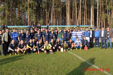 Кубок Житомирського району з футболу 2013 року