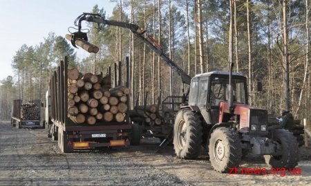 Житомирські держлісгоспи існують практично лише за власні кошти