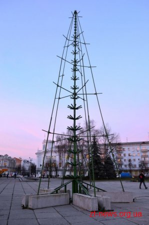 У Житомирі почали встановлювати ялинку